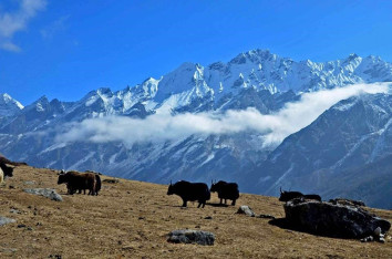 Tamang Heritage Trail Trek